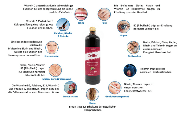Flasche+Infos